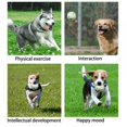 thumbnail image 5 of Interactive Dog Ball Toy,Durable Dog Chew Toy,Pet Tooth Cleaning Training Bouncing Balls, 5 of 5