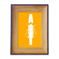 thumbnail image 1 of Insect Barm Fears Animals Ants Photo Frame Exhibition Display Art Desktop Painting, 1 of 3