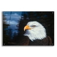 thumbnail image 1 of Epic Art 'The Face Of Freedom' by R. Hed, Acrylic Glass Wall Art, 36"x24", 1 of 8
