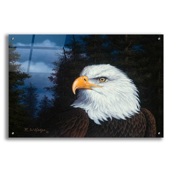 Epic Art 'The Face Of Freedom' by R. Hed, Acrylic Glass Wall Art, 36"x24"