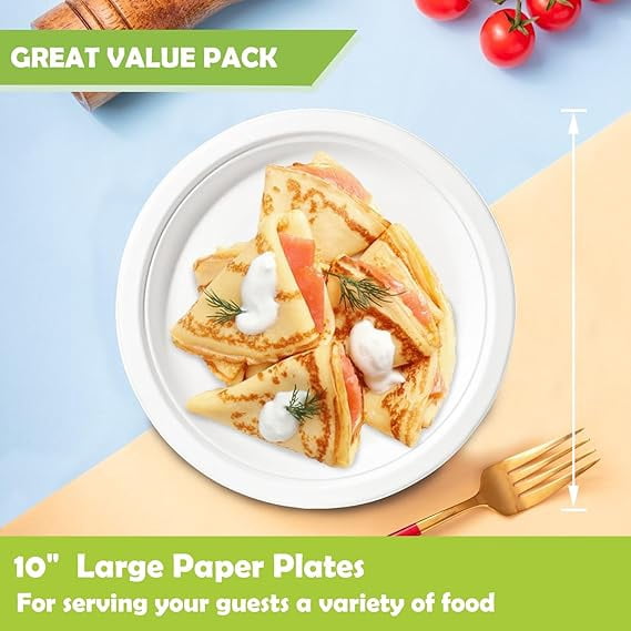Watson Distributing 10" Disposable Plate Round Bagasse, 500 Count