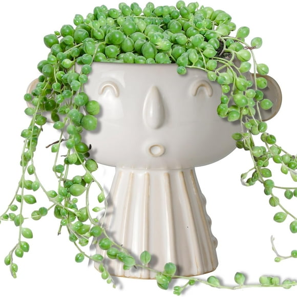 Maceta con forma de cinco macetas con forma de flor de cerámica, 18 cm, suculenta, blanca