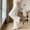 Beige, variant on Women's Summer Fashion Solid Ice Silk Wide Leg Slim Elastic High Waist Draped Loose Straight Leg Pants S