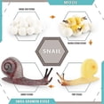 thumbnail image 5 of 4pcs Creative Snail Growth Cycle Model Toys Unique Design Simulation Animals Models Comptiable With Kids Scientific Cognitive Toys, 5 of 5