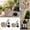 B, variant on Solar Lights Outdoor Snail Planter Statue with LED, Waterproof Resin Garden Decor for Yard Patio, Unique Craft for Pathway Lawn Flower Bed Display B