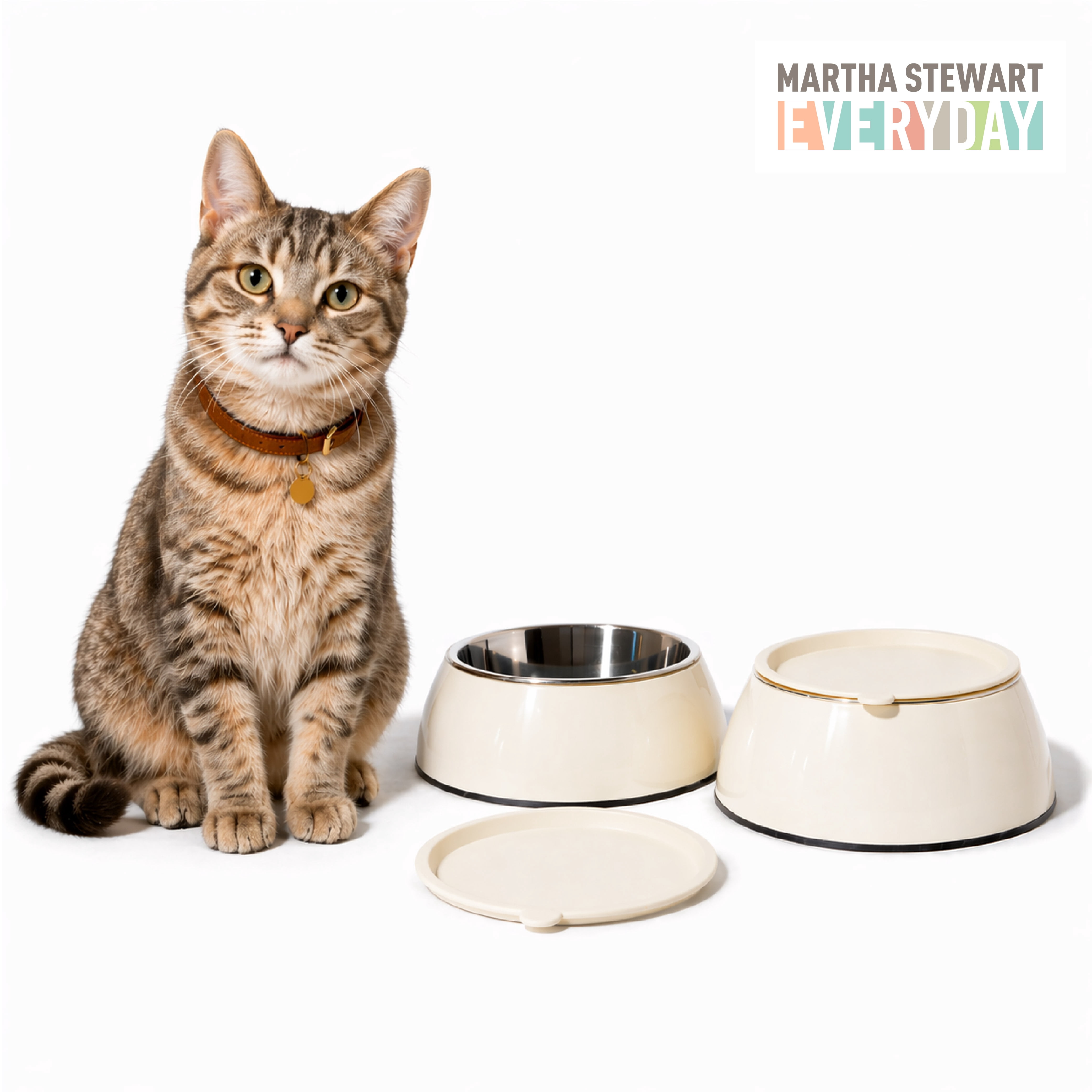 3 in 1 Melamine Cat Bowl Set with Lid for Small and Medium Cats