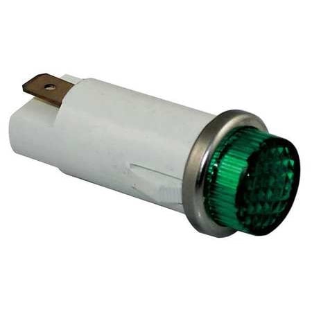 - DAYTON 22NY51 Raised Indicator Light,Green,120V