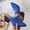 Blue, variant on Women’s Pointed Toe Block Heel Mules, Metal Buckle Slip On Backless Clogs, Mid Heel Dress Sandals for office Party Green 5.5(35)