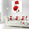 thumbnail image 3 of Designart Red Poppies on White Background - Floral Throw Pillow - 18x18, 3 of 5