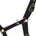 thumbnail image 3 of Hy Holly Fully Adjustable Head Collar, 3 of 4