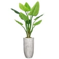thumbnail image 1 of Vintage Home Artificial 74" High Artificial Faux Philodendron Erubescens With Fiberstone Planter For Home Decor, 1 of 3
