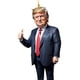 thumbnail image 2 of Dibujos Animados Trump Donald Adorno Navidad Acrílico Ornament Adjunto, 2 of 9
