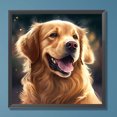 thumbnail image 3 of Pintura de diamante 5D DIY taladro redondo completo Golden Retriever arte artesanal 30x30cm, 3 of 9