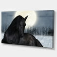 thumbnail image 2 of Cheval Noir au Clair de Lune - Impression sur Toile Animal, 2 of 3