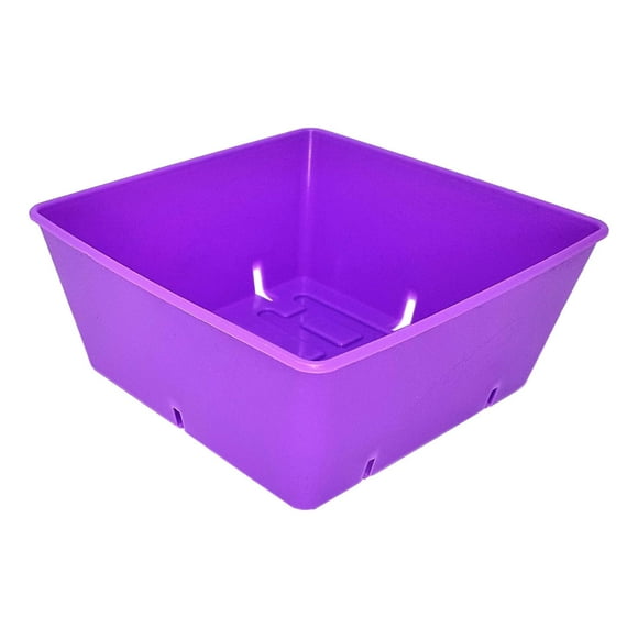 Bootstrap Farmer Plateau de Semences 5x5 Violet - Lot de 80 - Extra Résistant 5 x 5 Inserts pour Micro-Pousses, Graines de Blé, Fourrage Système 1020 801 Plateaux
