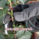 thumbnail image 5 of Guantes de jardinería de cuero resistente para hombres y mujeres, 5 of 5