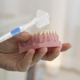 thumbnail image 2 of 3pcs Transparent Denture Brush False Teeth Cleaning Brush Double-sided Toothbrush Artificial Teeth Cleaning Tool, 2 of 2