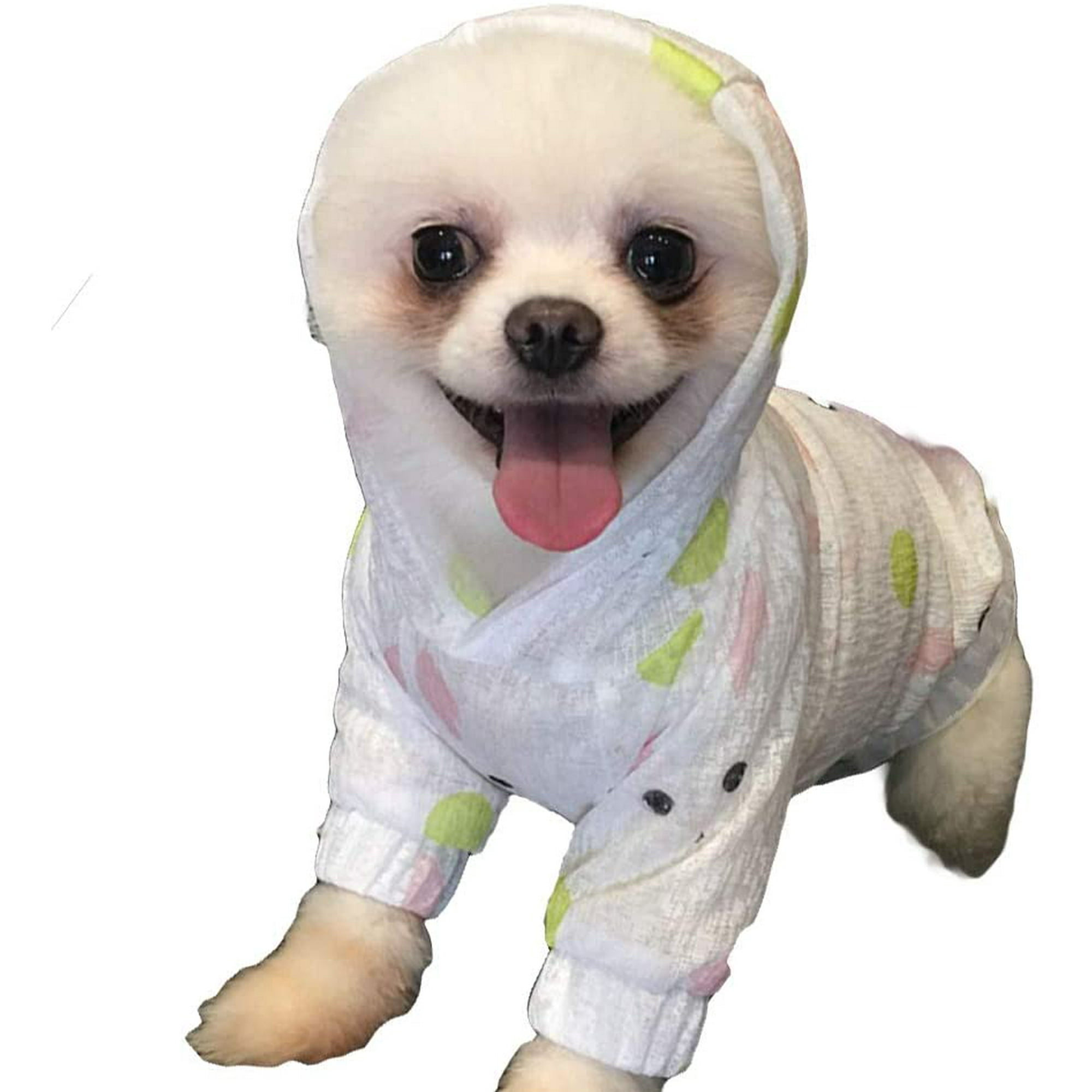 Do White Dogs Need Sun Protection