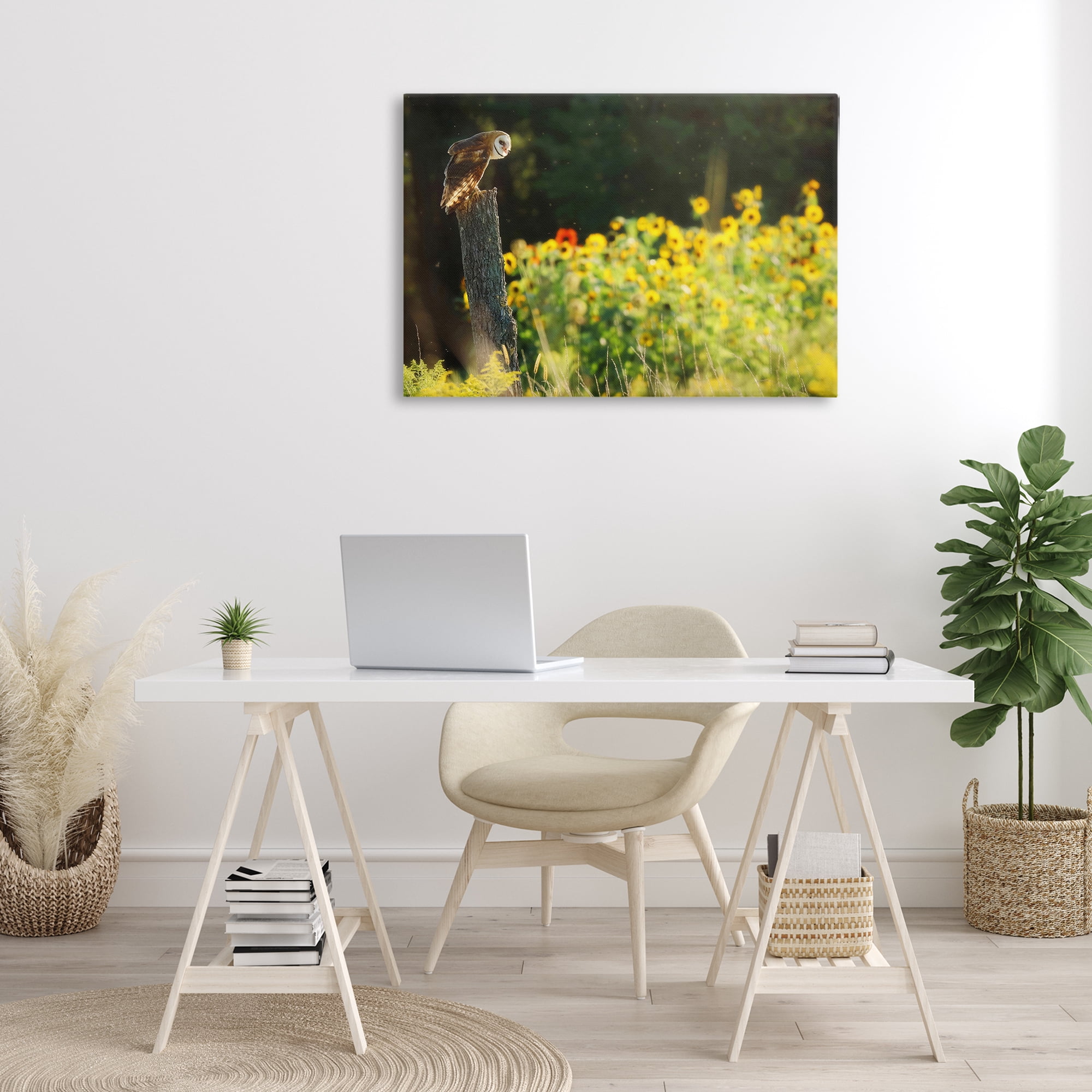 Stupell Industries Owl Perched in Meadow Landscape Photography Gallery Wrapped Canvas Art Print Wall Art, 36 x 24