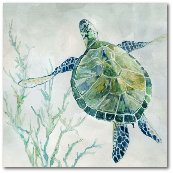 Courtside Market Sea turtle II 16"x16" Gallery-Wrapped Canvas Wall Art