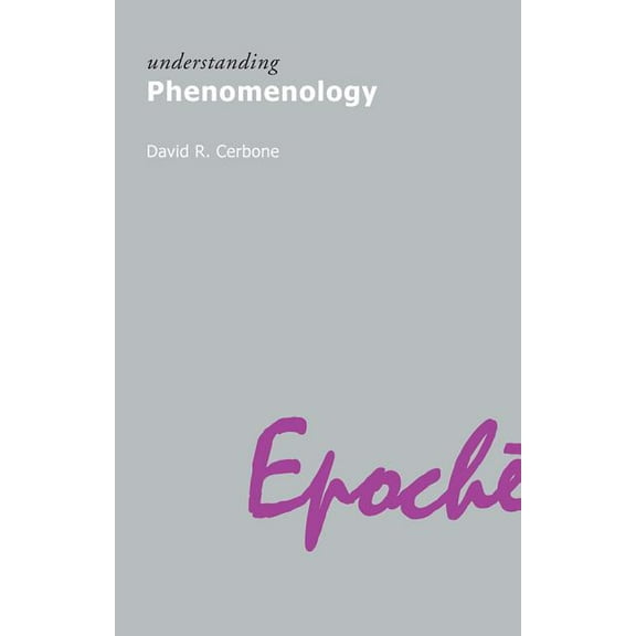 Understanding Phenomenology, (Paperback)