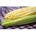 thumbnail image 3 of 60 BILICIOUS BICOLOR CORN Sweet Yellow & White Zea Mays Vegetable Seeds, 3 of 6