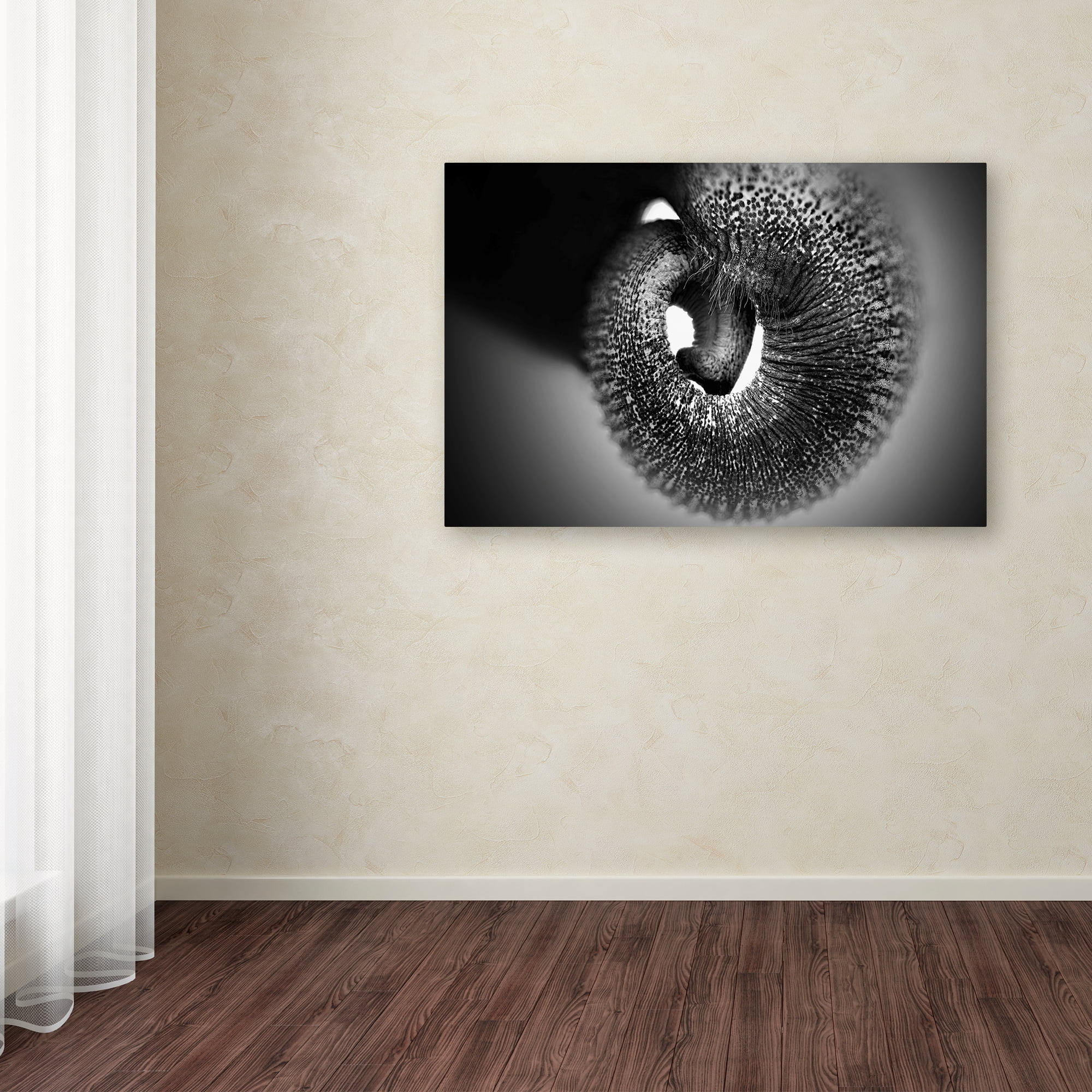 Trademark Fine Art 'Trunk' Canvas Art by Antje Wenner Braun