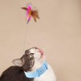 thumbnail image 1 of Cat Teaser Neck Wrap Salvador Juguetes para gatos 1 Uds rosa 1 Uds azul, 1 of 10
