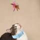 thumbnail image 1 of Cat Teaser Neck Wrap Salvador Juguetes para gatos 1 Uds rosa 1 Uds azul, 1 of 10
