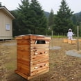 thumbnail image 1 of QinaQin 10-Frame Langstroth Bee Hive Kit with Observation Window, Wood, 1 of 8