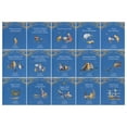 Winnie The Pooh illustrated Classic Story Collection 30 Book Box Set ...