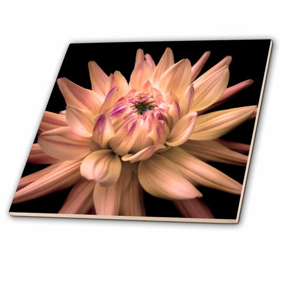 3dRose, Gold Dahlia Corona Flower, 4 Inch Ceramic Tile