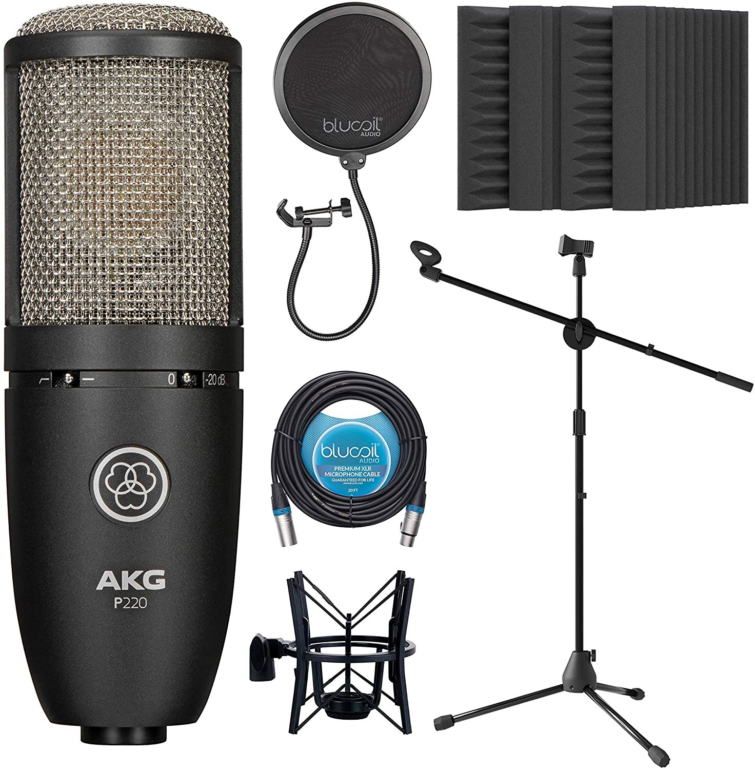 Condenser　AKG　True　High-Performance　Diaphragm　Large　P220　Microphone