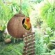 thumbnail image 5 of Escondite de coco natural con escalera, juguete para pájaros y animales pequeños (casa con escalera, superficie natural), 5 of 5