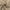Taupe, variant on Diamond Home Linen Look Semi-Sheer Kitchen Tier Curtains, 27” x 36” (2 Panels)