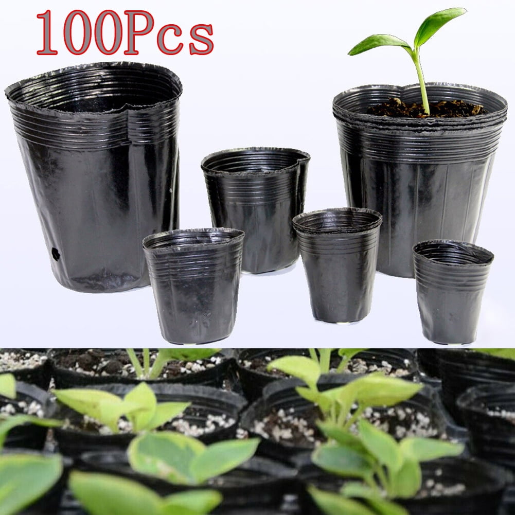 Malaysia Flower Pot Supplier Best Flower Site