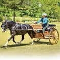 thumbnail image 2 of Juego de juguete para caballos Breyer Horses Traditional Nistar Kansas, 2 of 2