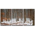 thumbnail image 3 of PixonSign Canvas Print Wall Art Set Autumn Forest with Snow Nature Wilderness Photography Realism Modern Landscape Relax/Calm Multicolor Ultra for Living Room, Bedroom, Office - 16"x24"x3, 3 of 5