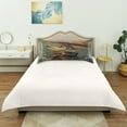 thumbnail image 6 of WOBOGO Strange Fish Satin Pillowcase Soft Smooth Envelope Design Comfortable Bedding Essentials 20×26in, 6 of 9