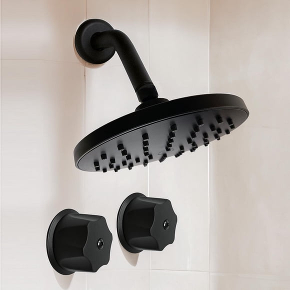 Regadera Redonda Negra 16cm Pidsa Lluvia incluye brazo y manerales