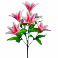 thumbnail image 4 of Arreglos Florales Gloria 6 uds Rosa, 4 of 9