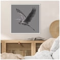 thumbnail image 5 of Amanti Art Great Grayscale Heron II Framed Canvas Wall Art Print, 5 of 7