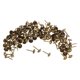 thumbnail image 1 of KALLORY 100Ud Clavos Para Muebles Dorados Con Para Y Restauración, 1 of 6