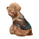 thumbnail image 5 of Fotbe Ice Blue Coastal Lion Sudadera con Estampado para Perros Pequeños – Suéter con Capucha para Mascotas, Tela Suave de Forro Polar con Bolsillo-Large, 5 of 7