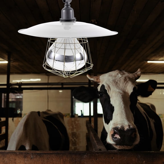 TINKSKY Poultry Heat Lamp Brooder with High Thermal Efficiency, Safe Heating for Chickens, , and Small Animals