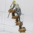 thumbnail image 2 of EIGTHTAIL Bird Wooden Platform Natural Wood Stand 4 Steps Ladder Parrot Chewing Toy, 2 of 11