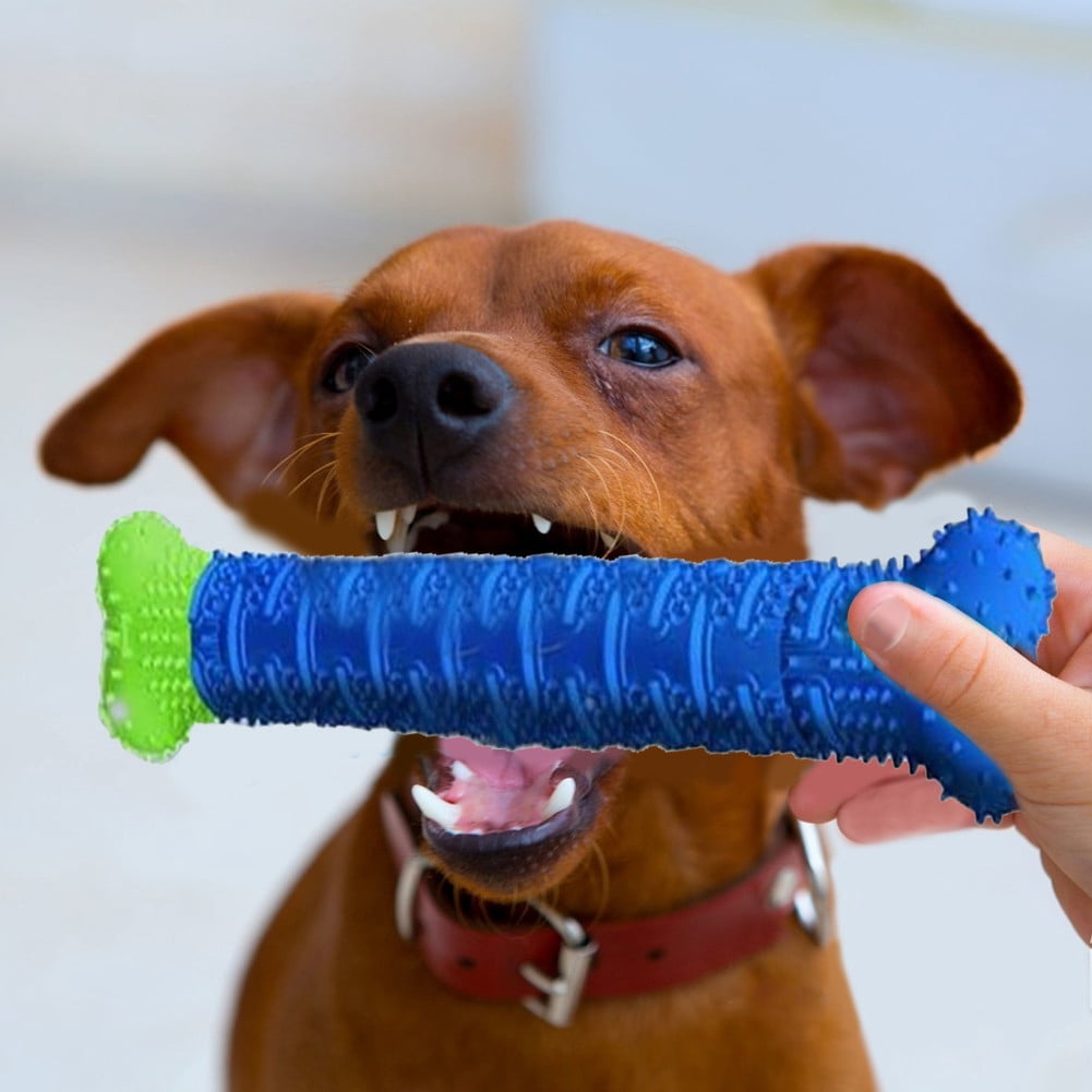 wisdom dog toothbrush stick