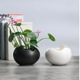 thumbnail image 1 of Ceramic Bonsai 1Pcs Black Ceramic Hydroponic Flower Pot Succulent Planter with Geometric Design for Home Gardening Decor Rkxzt, 1 of 6