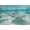 Unframed, variant on Southern Stingrays at Stingray City Photographic Print by Paul Souders, 18" x 12"