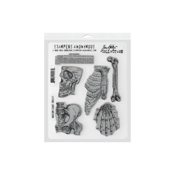 Tim Holtz Cling Stamps 7"X8.5"-Anatomy Chart